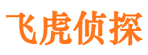 平乡飞虎私家侦探公司